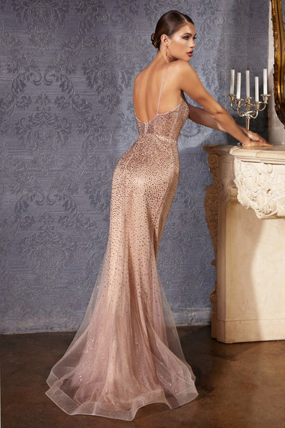 Glitter Embellished Gown
